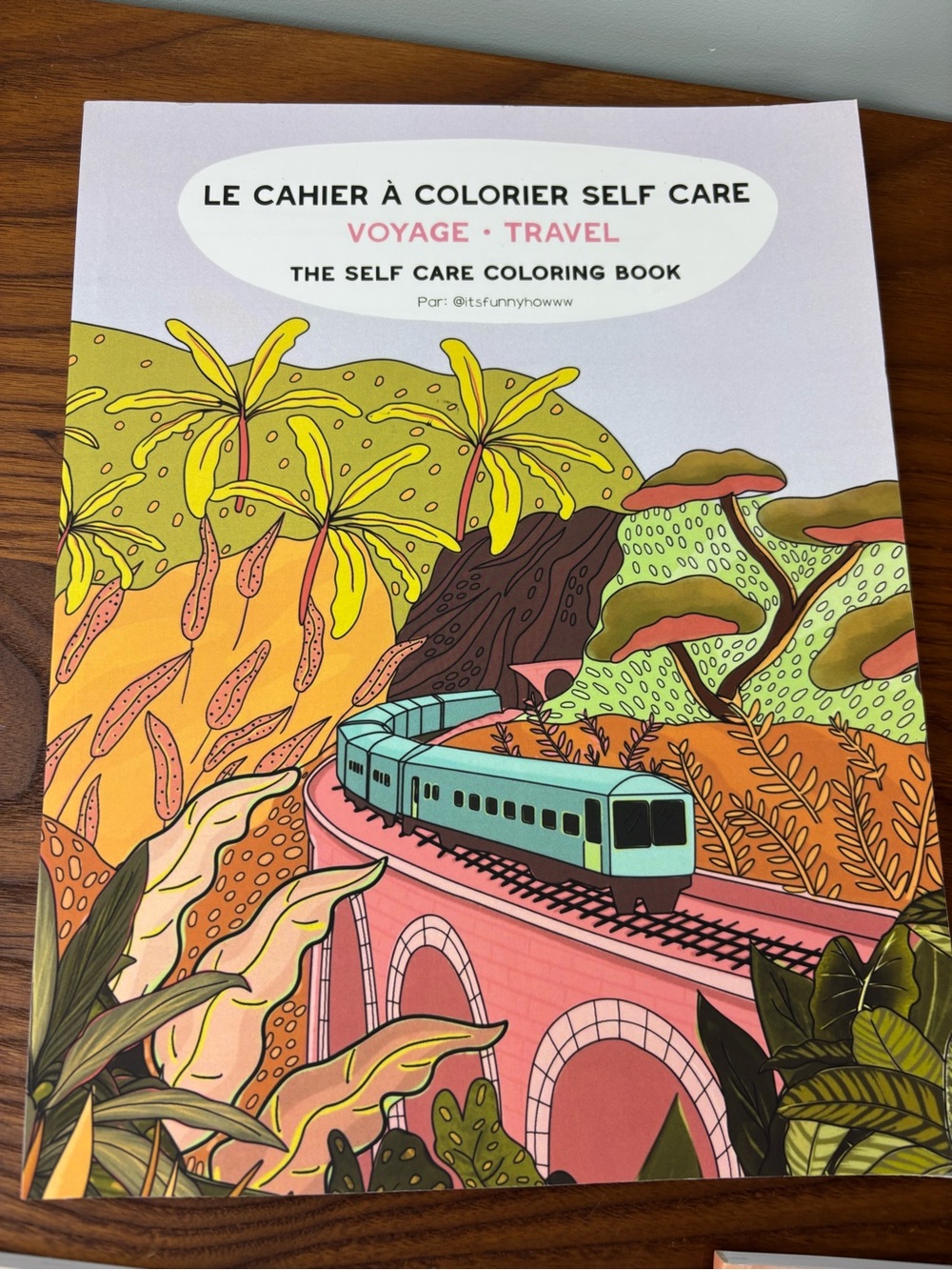 It’s Funny Howww Coloring Books The self Care collection (3) - Picture 7 of 10